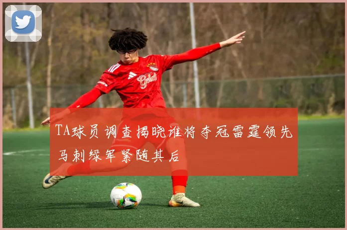 TA球员调查揭晓谁将夺冠雷霆领先马刺绿军紧随其后