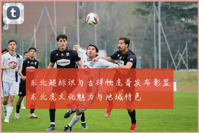 东北超标识与吉祥物虎哥发布彰显东北虎文化魅力与地域特色